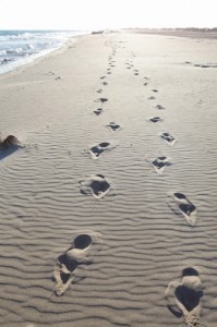 Footprrints in the sand forblog Photograph of Footprints in the sand