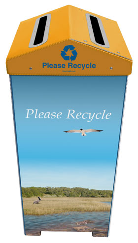 Coastal Imagery Bin™ - Image 9